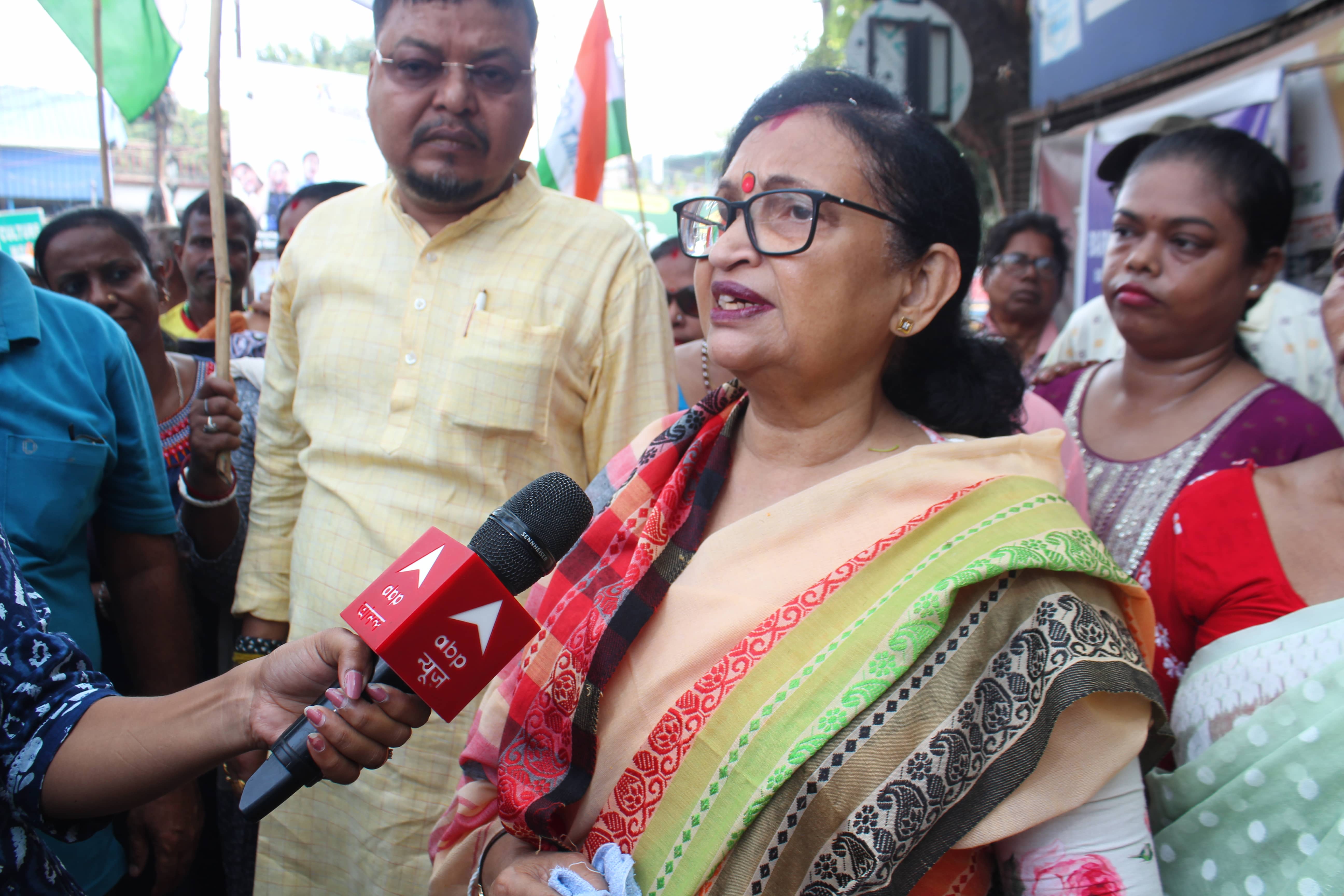 সরকারি সভা